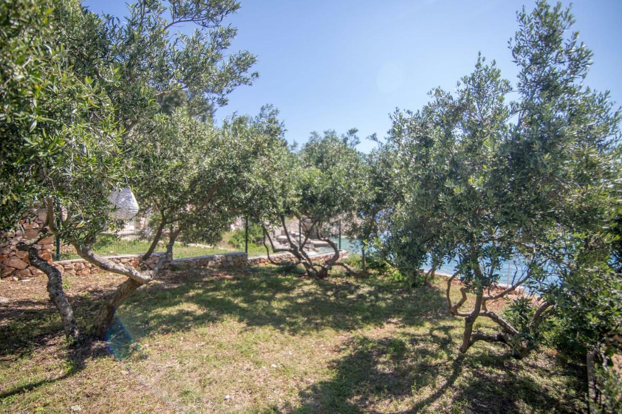 Apartments Robinzon Petar Gdinj 外观 照片
